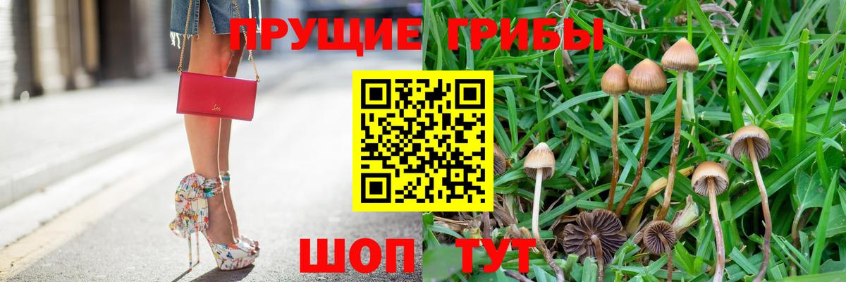 как найти наркотики  Вход с VPN  Кушва  Галлюциногенные грибы ЛСД 