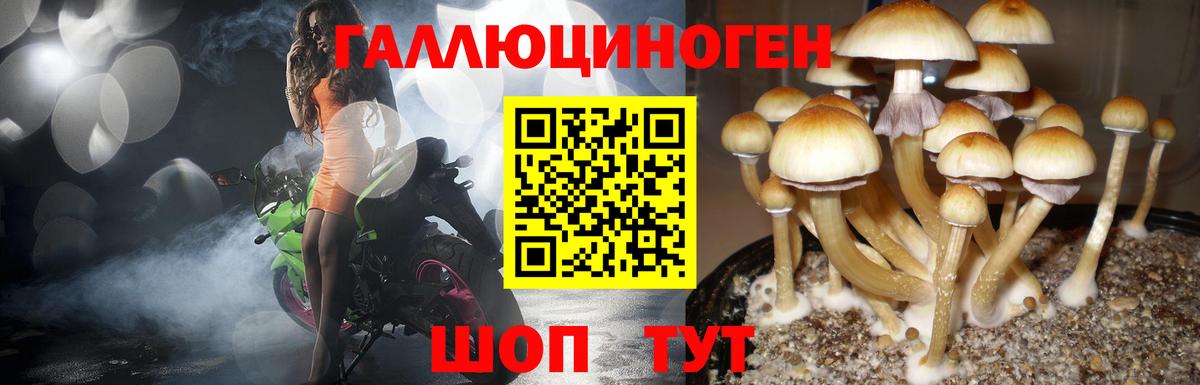 Галлюциногенные грибы Magic Shrooms Кушва